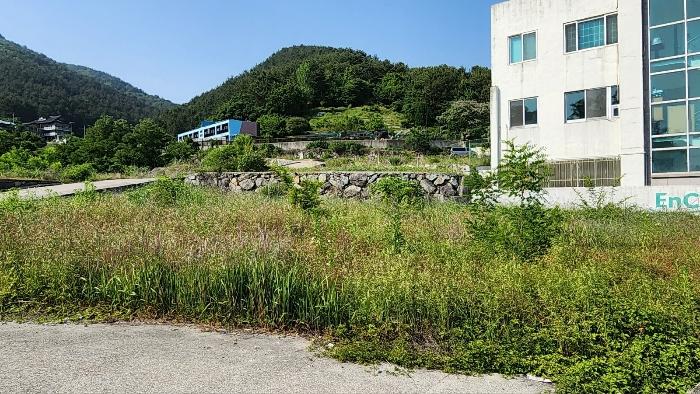 경상남도 사천시 동동 437 답 경매 사진 6