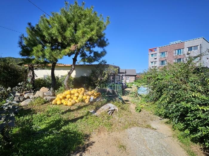 경상남도 거제시 하청면 서리1길 10-3구) 경상남도 거제시 하청리 713-1 상가 경매 사진 1
