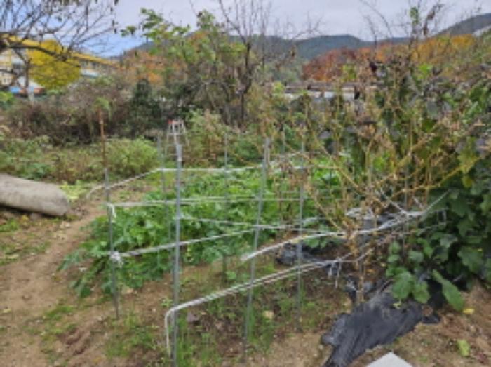 경상남도 거제시 하청면 서리1길 10-3구) 경상남도 거제시 하청리 713-1 상가 경매 사진 9