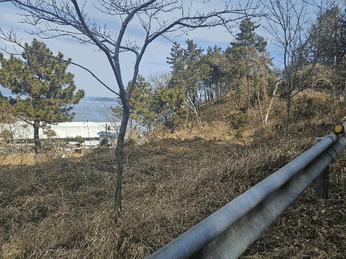 경상남도 거제시 사등면 창호리 1068-1 전 경매 사진 4