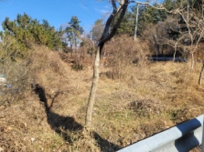 경상남도 거제시 사등면 창호리 1068-1 전 경매 사진 8