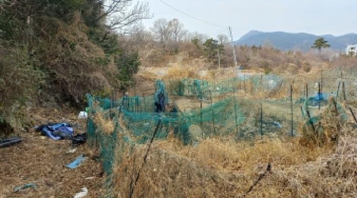 경상남도 거제시 아양동 897-2 답 경매 사진 6