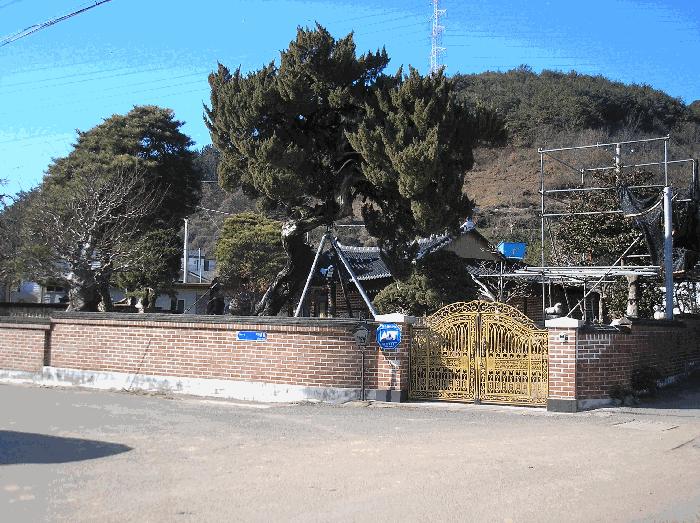전라남도 광양시 봉강면 지곡리 679 주택 경매 사진 12