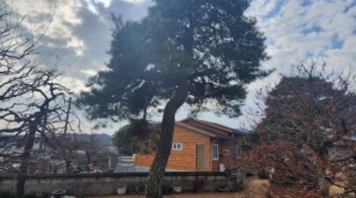 전라남도 광양시 봉강면 지곡리 679 주택 경매 사진 34