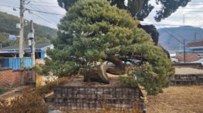 전라남도 광양시 봉강면 지곡리 679 주택 경매 사진 35