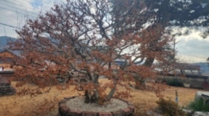 전라남도 광양시 봉강면 지곡리 679 주택 경매 사진 36