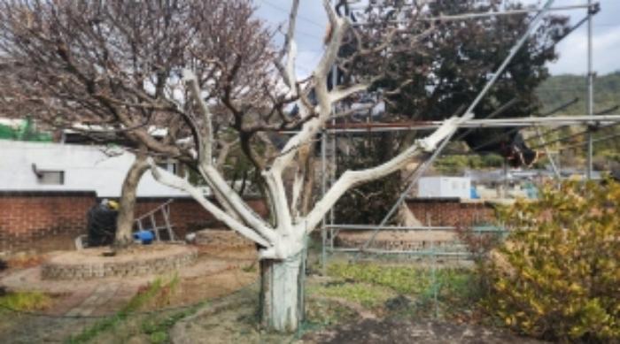 전라남도 광양시 봉강면 지곡리 679 주택 경매 사진 43