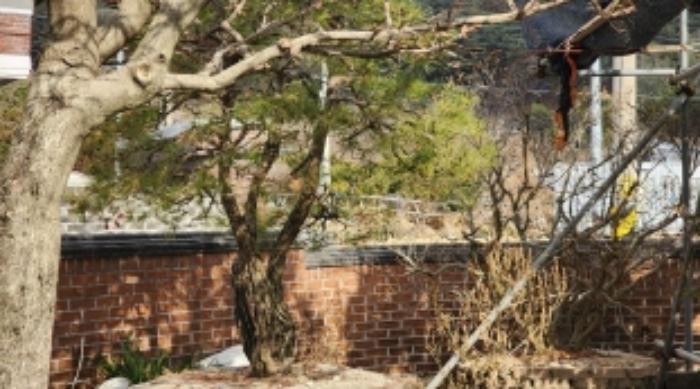 전라남도 광양시 봉강면 지곡리 679 주택 경매 사진 44
