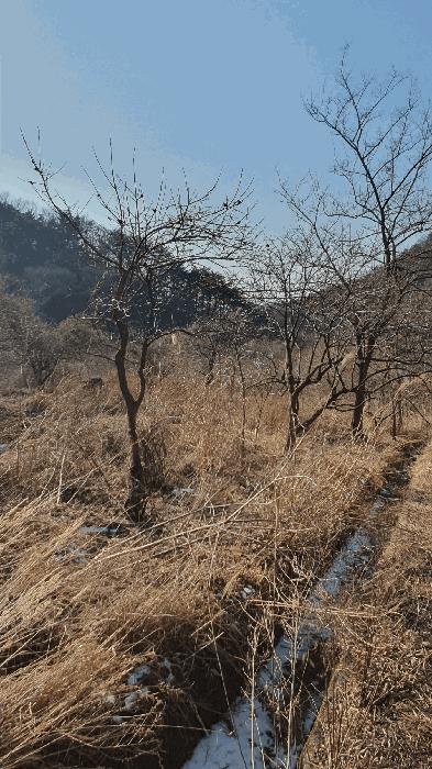 전라남도 보성군 문덕면 귀산리 산112 임야 경매 사진 17
