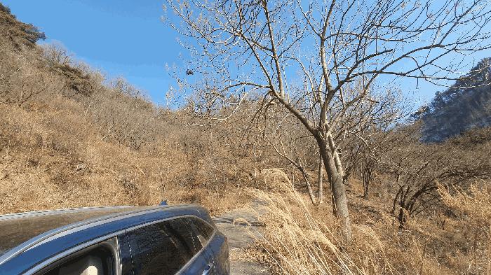 전라남도 보성군 문덕면 귀산리 산112 임야 경매 사진 18