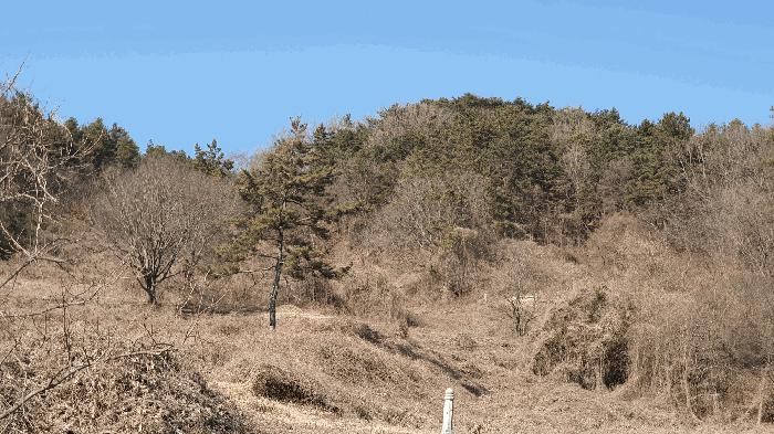 전라남도 보성군 문덕면 귀산리 산112 임야 경매 사진 19