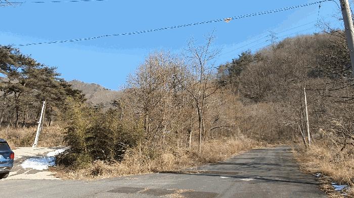전라남도 보성군 문덕면 귀산리 산112 임야 경매 사진 2