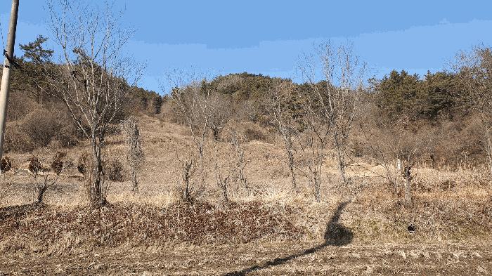 전라남도 보성군 문덕면 귀산리 산112 임야 경매 사진 20