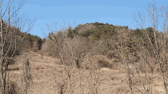 전라남도 보성군 문덕면 귀산리 산112 임야 경매 사진 24