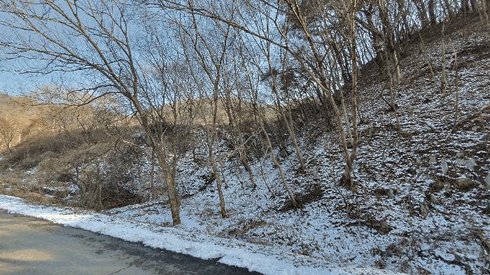 전라남도 보성군 문덕면 귀산리 산112 임야 경매 사진 25