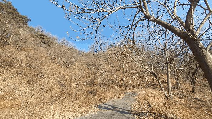 전라남도 보성군 문덕면 귀산리 산112 임야 경매 사진 28