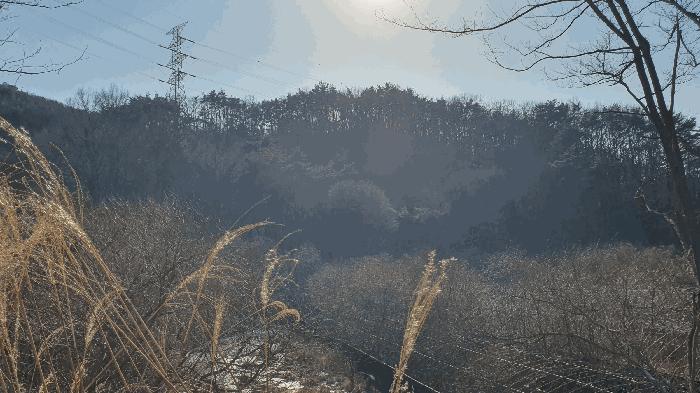 전라남도 보성군 문덕면 귀산리 산112 임야 경매 사진 30