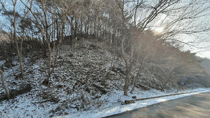 전라남도 보성군 문덕면 귀산리 산112 임야 경매 사진 31