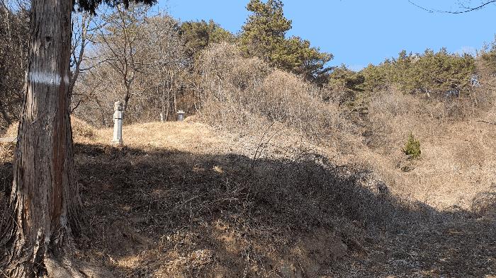 전라남도 보성군 문덕면 귀산리 산112 임야 경매 사진 33