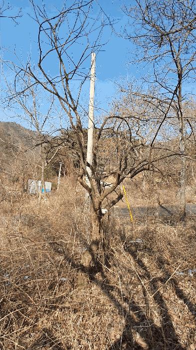 전라남도 보성군 문덕면 귀산리 산112 임야 경매 사진 36