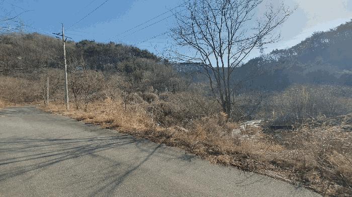 전라남도 보성군 문덕면 귀산리 산112 임야 경매 사진 4