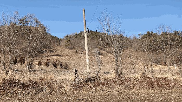 전라남도 보성군 문덕면 귀산리 산112 임야 경매 사진 39