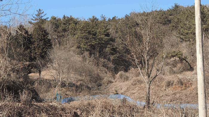 전라남도 보성군 문덕면 귀산리 산112 임야 경매 사진 40