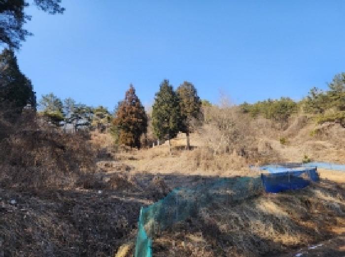 전라남도 보성군 문덕면 귀산리 산112 임야 경매 사진 41