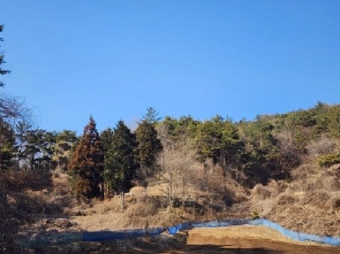 전라남도 보성군 문덕면 귀산리 산112 임야 경매 사진 42