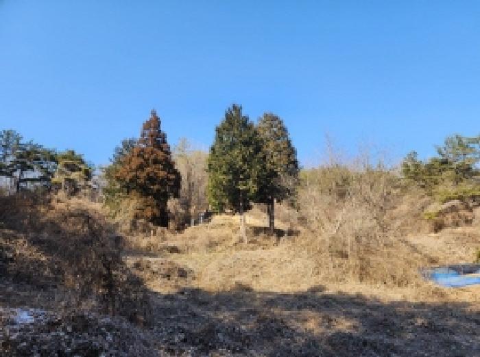 전라남도 보성군 문덕면 귀산리 산112 임야 경매 사진 43