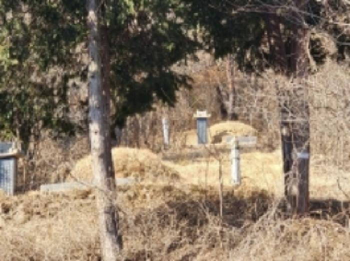 전라남도 보성군 문덕면 귀산리 산112 임야 경매 사진 44