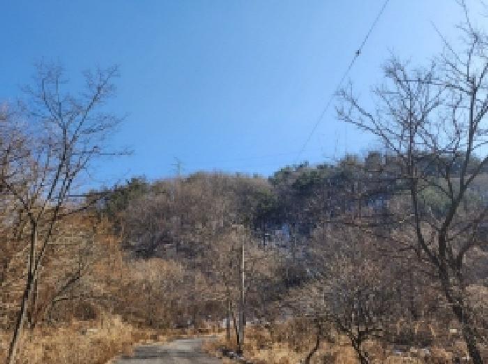 전라남도 보성군 문덕면 귀산리 산112 임야 경매 사진 45