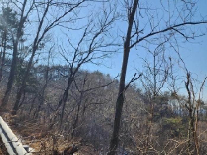 전라남도 보성군 문덕면 귀산리 산112 임야 경매 사진 47
