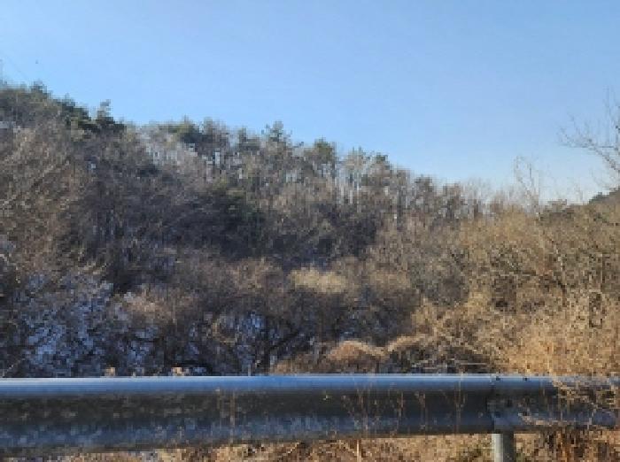 전라남도 보성군 문덕면 귀산리 산112 임야 경매 사진 48