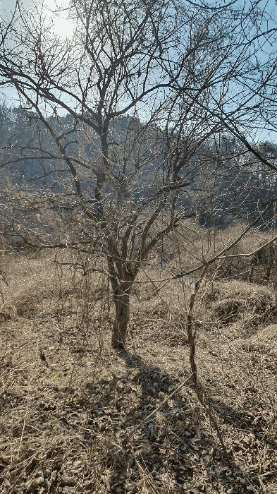 전라남도 보성군 문덕면 귀산리 산112 임야 경매 사진 5
