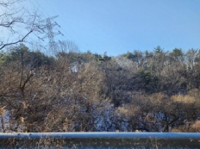 전라남도 보성군 문덕면 귀산리 산112 임야 경매 사진 49