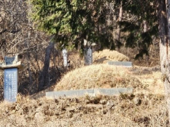 전라남도 보성군 문덕면 귀산리 산112 임야 경매 사진 50