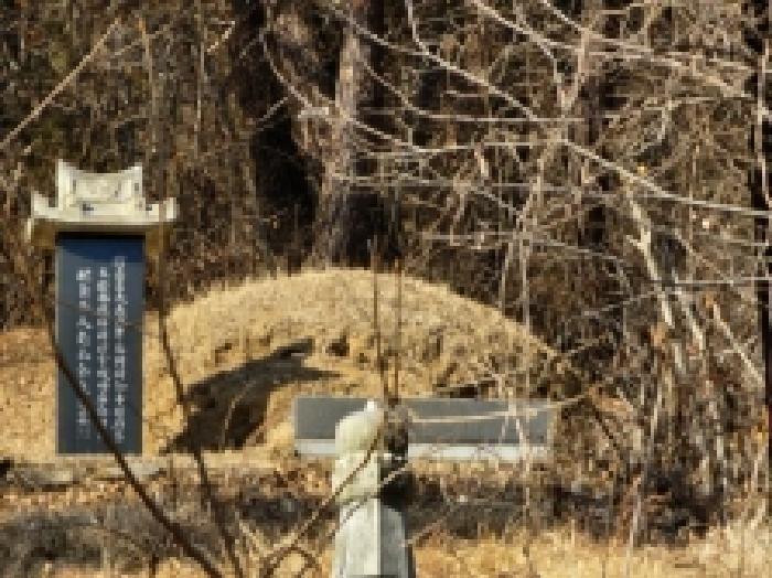 전라남도 보성군 문덕면 귀산리 산112 임야 경매 사진 51