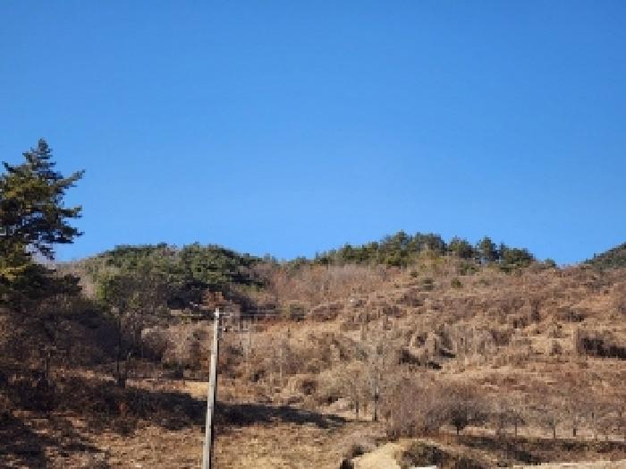 전라남도 보성군 문덕면 귀산리 산112 임야 경매 사진 52