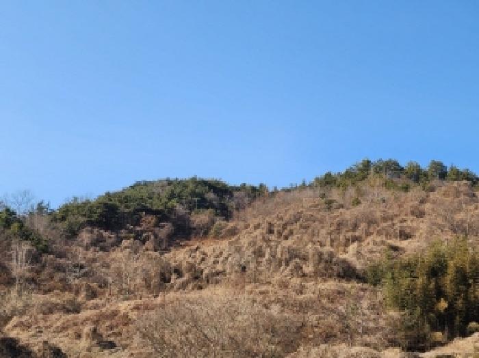 전라남도 보성군 문덕면 귀산리 산112 임야 경매 사진 53