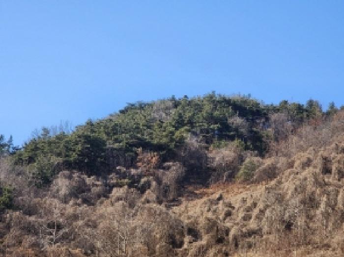 전라남도 보성군 문덕면 귀산리 산112 임야 경매 사진 54