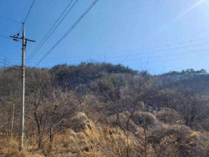 전라남도 보성군 문덕면 귀산리 산112 임야 경매 사진 60
