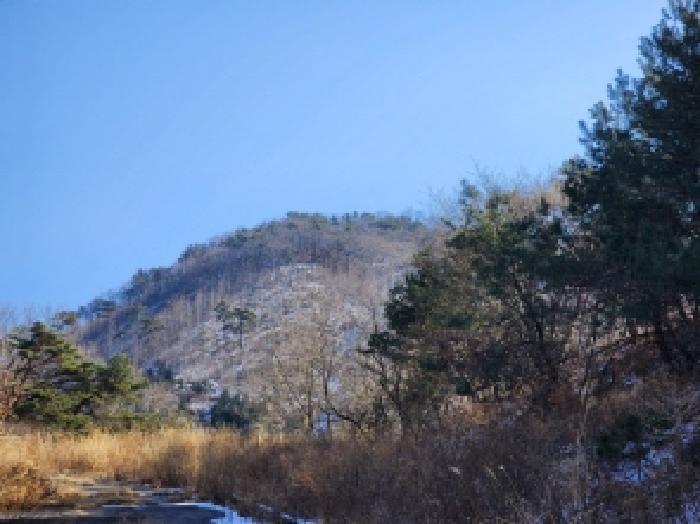 전라남도 보성군 문덕면 귀산리 산112 임야 경매 사진 66