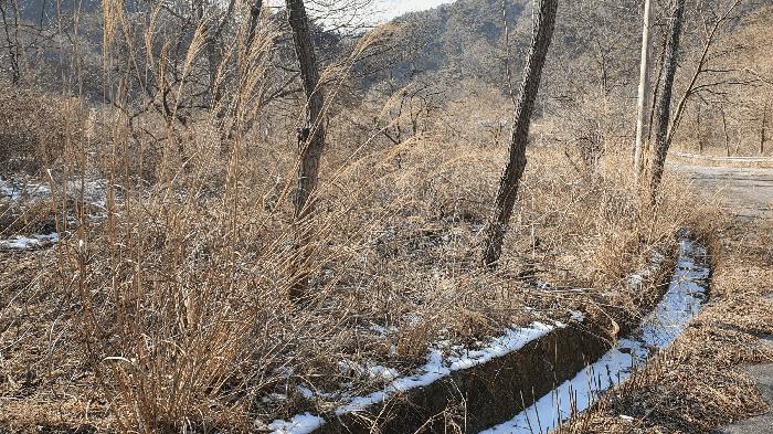 전라남도 보성군 문덕면 귀산리 산112 임야 경매 사진 7