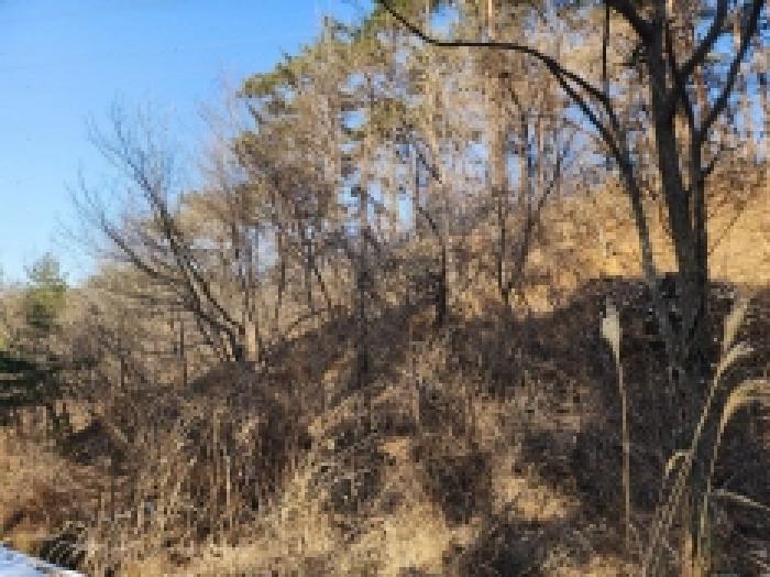 전라남도 보성군 문덕면 귀산리 산112 임야 경매 사진 69