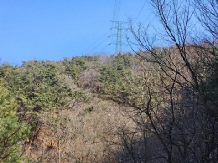 전라남도 보성군 문덕면 귀산리 산112 임야 경매 사진 71