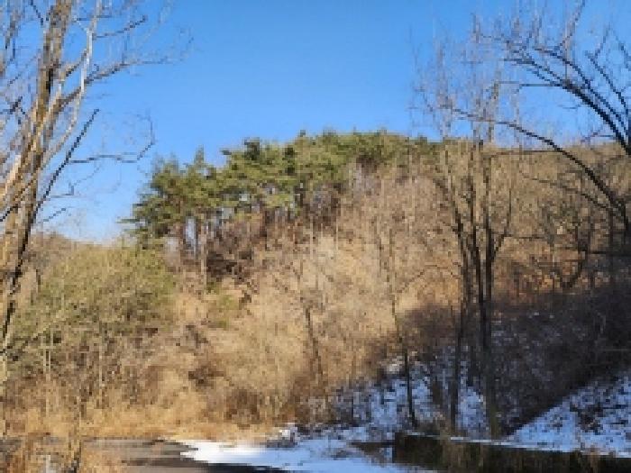 전라남도 보성군 문덕면 귀산리 산112 임야 경매 사진 72