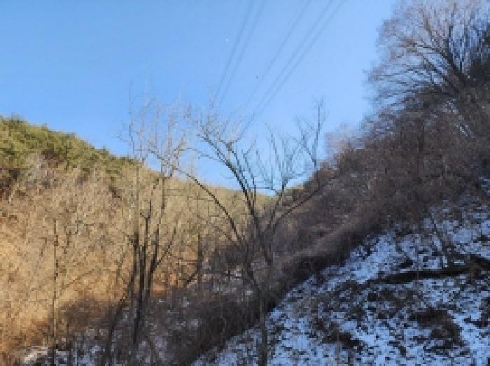 전라남도 보성군 문덕면 귀산리 산112 임야 경매 사진 73