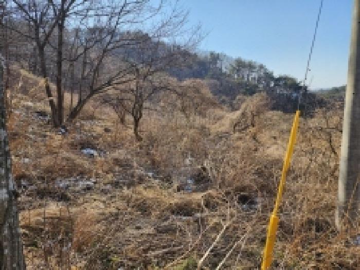 전라남도 보성군 문덕면 귀산리 산112 임야 경매 사진 76