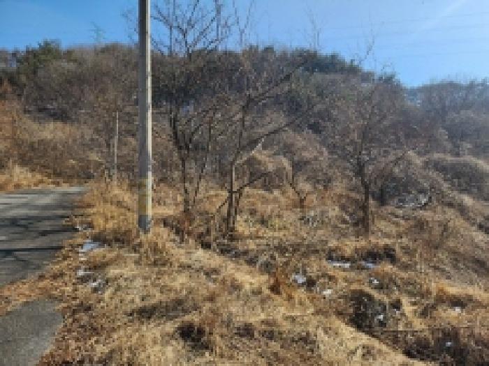전라남도 보성군 문덕면 귀산리 산112 임야 경매 사진 77